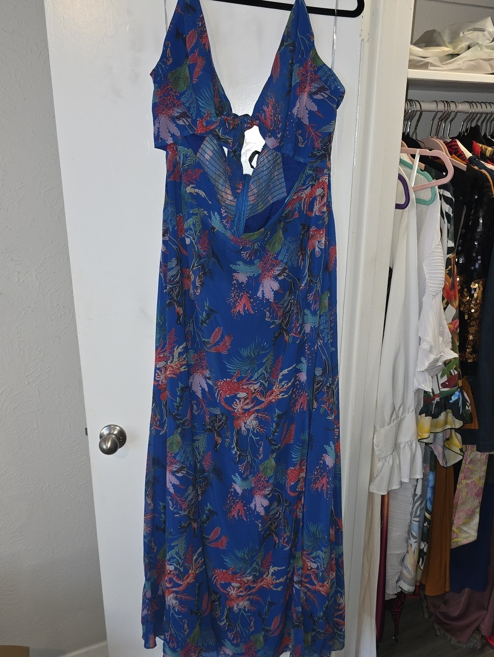 AKIRA Blue Floral Tie-Front Maxi Dress
